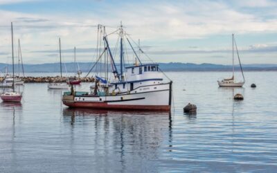 La gastronomía gallega: Explorando los sabores del mar