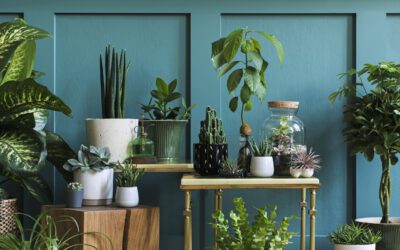 Decorar con plantas el salón: ideas para un interior fresco y elegante